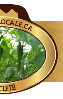Local
